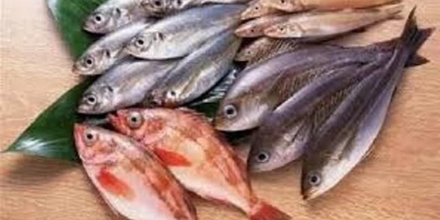أسعار
الأسماك
اليوم
الجمعة
23
مايو
2025  - تكنو بلس