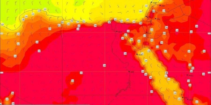 موجة
      حارة
      جديدة..
      ‏الأرصاد
      تكشف
      تفاصيل
      حالة
      الطقس
      اليوم
      الجمعة
      23
      ‏مايو - تكنو بلس