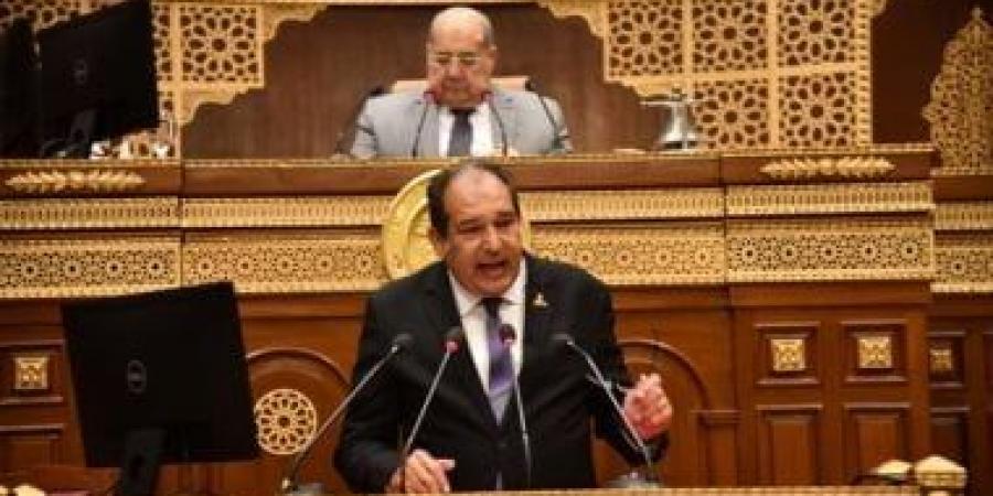 برلمانية مستقبل وطن بالشيوخ: تعديلات قانون المجلس متميزة وتحقق التمثيل العادل