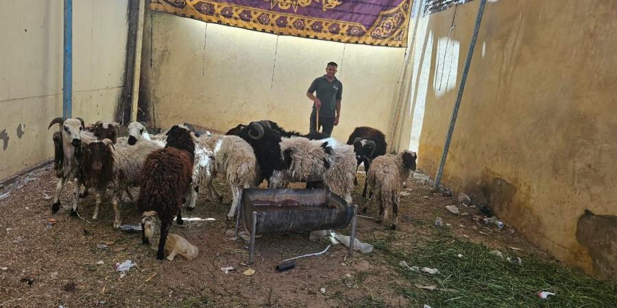 تموين
الأقصر
يستعد
مبكرا
لعيد
الأضحى
المبارك
من
خلال
٩
قرارات - تكنو بلس