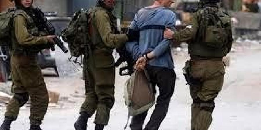 قوات
      الاحتلال
      الإسرائيلي
      تعتقل
      12
      فلسطينيا
      من
      الضفة
      الغربية - تكنو بلس