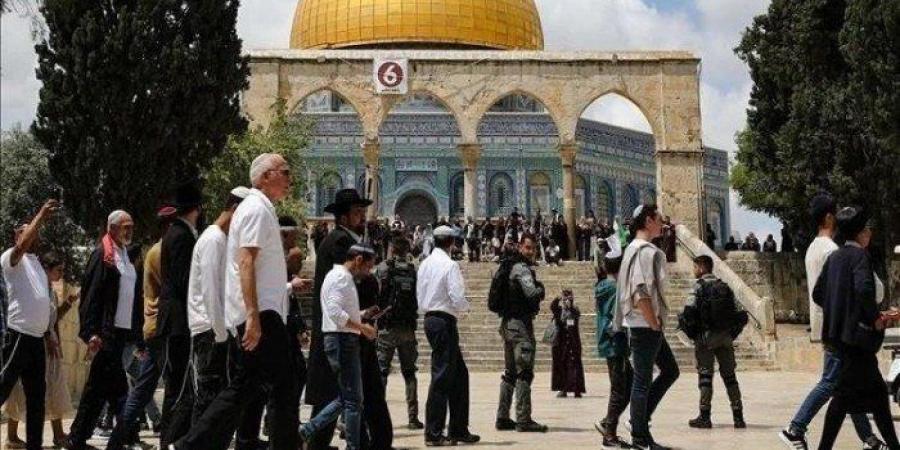 مستوطنون
      يقتحمون
      الأقصى
      بحماية
      شرطة
      الاحتلال
      الإسرائيلي - تكنو بلس