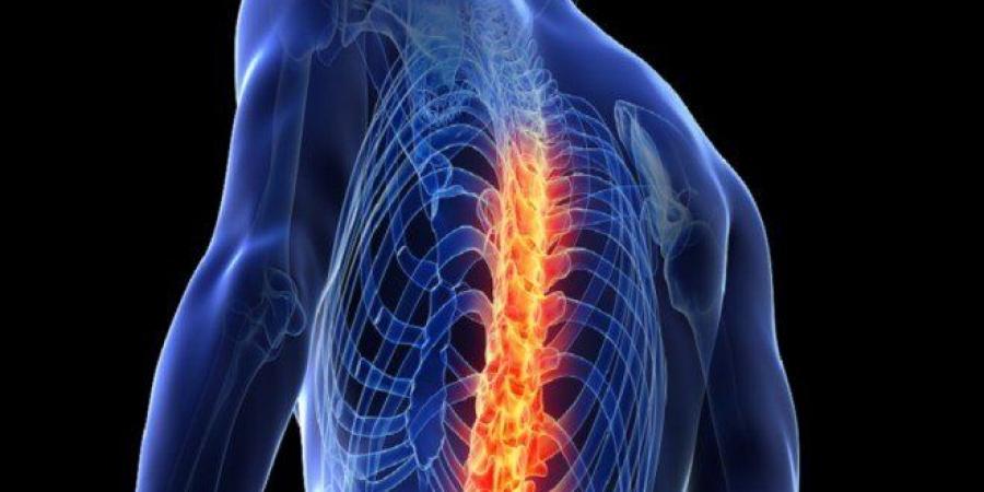 تقنية
      مبتكرة
      تمهّد
      لعلاج
      آمن
      وغير
      جراحي
      لإصابات
      النخاع
      الشوكي - تكنو بلس