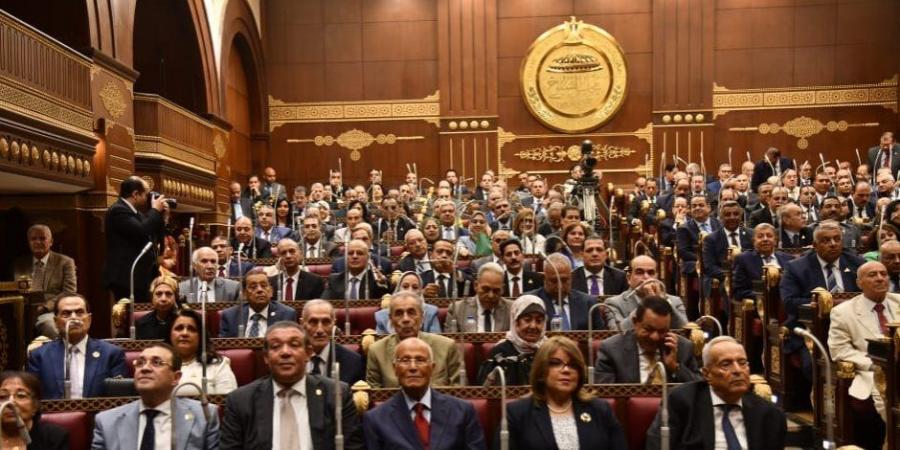 "النواب" يوافق نهائيا على مشروع تعديل قانون مجلس الشيوخ - تكنو بلس