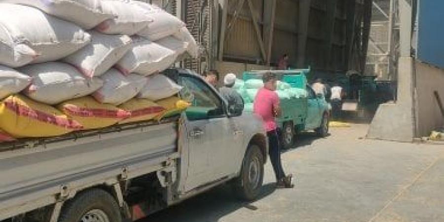 توريد 158 ألف طن من محصول القمح لصوامع وشون سوهاج