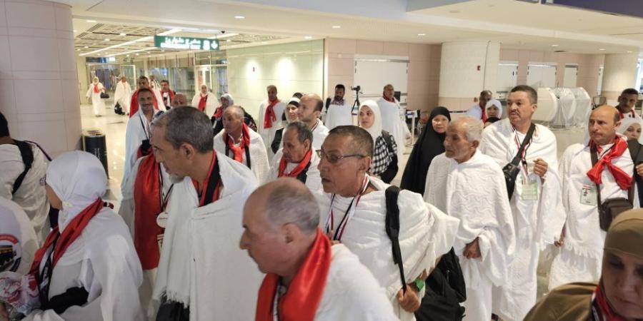 التضامن الاجتماعي تواصل تفويج حجاج الجمعيات الأهلية إلى الأراضي المقدسة - تكنو بلس