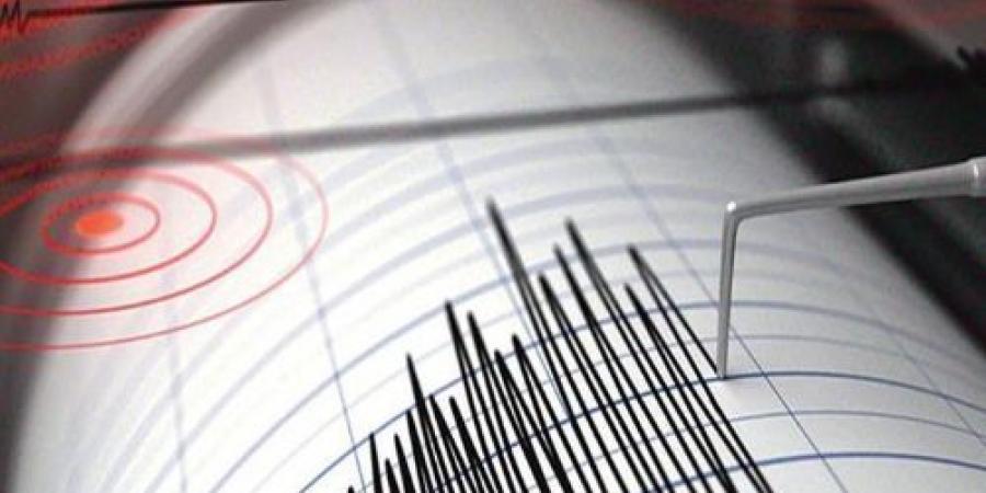 أستاذ
      جيولوجيا
      يكشف
      حقيقة
      دخول
      مصر
      ضمن
      حزام
      الزلازل
      (فيديو) - تكنو بلس