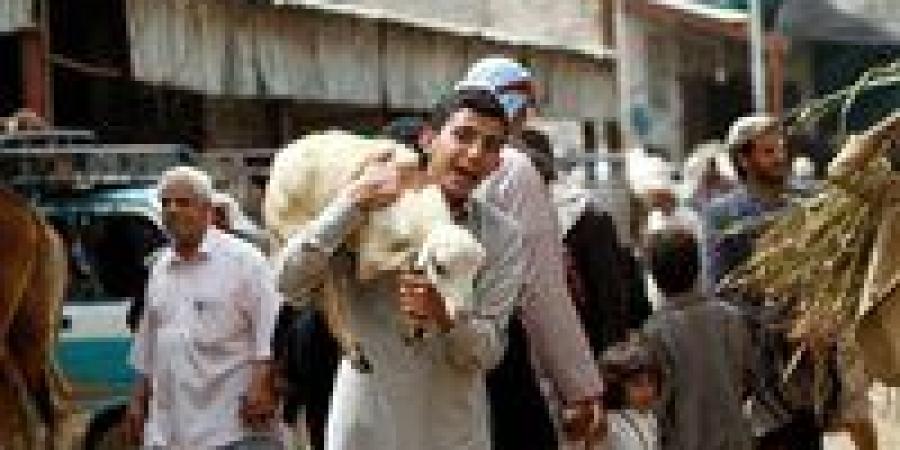 استعدادات
      مكثفة
      لعيد
      الأضحى
      2025..
      شوادر
      ولحوم
      بأسعار
      مخفضة
      وجهود
      حكومية
      لتأمين
      الأضاحي - تكنو بلس