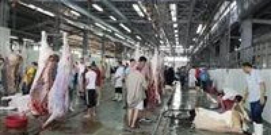 محافظ
      القليوبية:
      إلغاء
      جميع
      الإجازات
      لكافة
      العاملين
      في
      مديرية
      الطب
      البيطري
      والمجازر
      طوال
      فترة
      عيد
      الأضحى
      المبارك - تكنو بلس