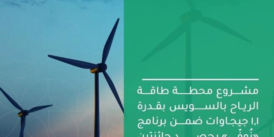 التخطيط:
      التنسيق
      مع
      البنك
      الأوروبي
      والشركاء
      الآخرين
      لإضافة
      10
      جيجاوات
      طاقة
      متجددة - تكنو بلس