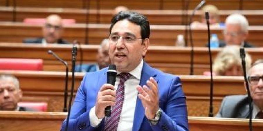 أيمن محسب: اتصال الرئيس السيسي وماكرون يعكس دعما متزايدا للمبادرات المصرية