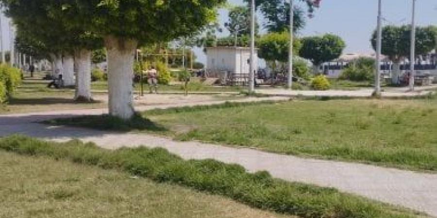 طقس معتدل ونشاط للهواء البارد  على الصعيد.. مباشر