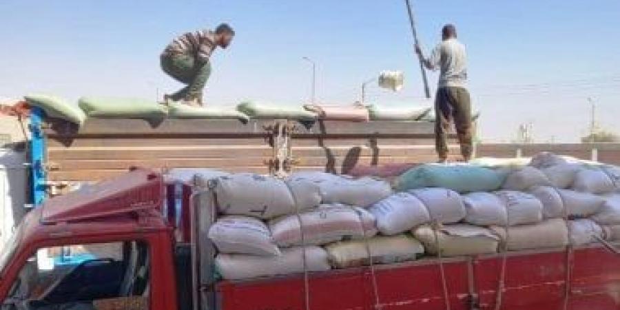 توريد 173ألف و821 طن قمح إلى الشون والصوامع بسوهاج