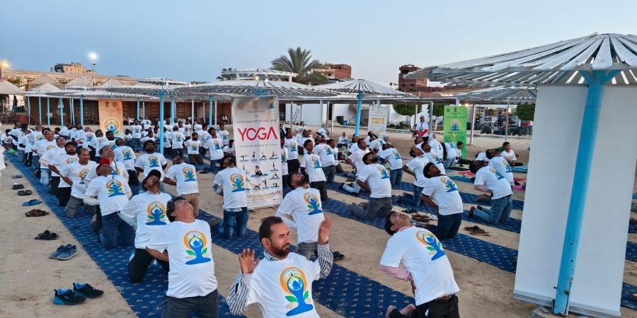 سفارة
      الهند
      بالقاهرة
      تحتفل
      باليوم
      العالمي
      الـ11
      لليوجا - تكنو بلس