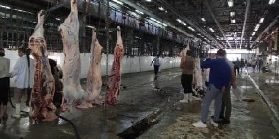 ننشر أماكن المجازر ونقاط الذبح لاستقبال أضاحى العيد بالوادى الجديد مجانا