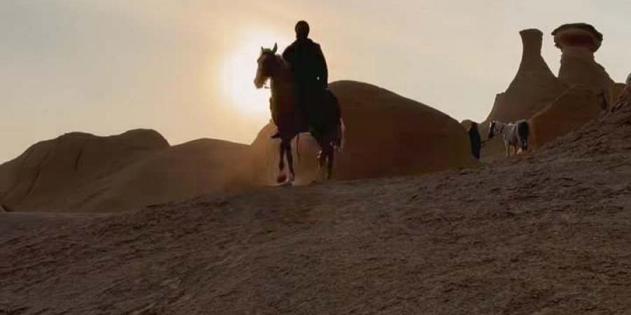 بدقن
      كثيفة..
      محمد
      رمضان
      من
      كواليس
      تصوير
      فيلم
      أسد
      استعدادا
      لطرحه
      قريبا - تكنو بلس