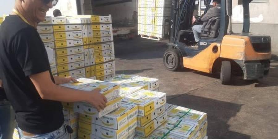 الزراعة
      تعلن
      استمرار
      حركة
      الصادرات
      والواردات
      خلال
      العيد
      بالمنافذ
      الجمركية - تكنو بلس