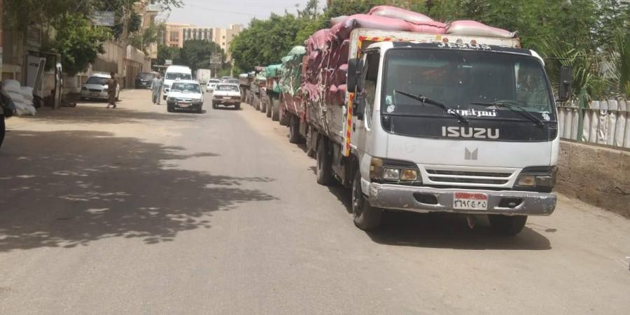 محافظة
      المنيا
      تستأنف
      أعمال
      توريد
      محصول
      القمح
      المحلي
      بالصوامع
      الحكومية - تكنو بلس