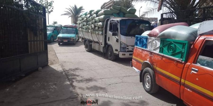 توريد
القمح
بالمنيا
يتحدى
عطلة
العيد
ويكسر
حاجز
النصف
مليون
طن - تكنو بلس