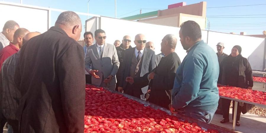 إطلاق
      حزمة
      مشروعات
      تنموية
      جديدة
      بمحافظة
      الأقصر
      بالتعاون
      مع
      هيئة
      تنمية
      الصعيد - تكنو بلس