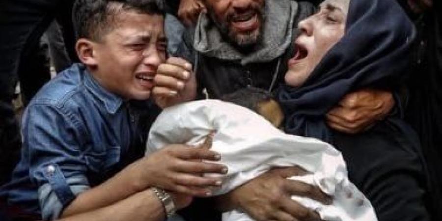 وكيل تشريعية الشيوخ: صمود أهل غزة لا يجب أن يكون بديلا عن الحرية والسلام