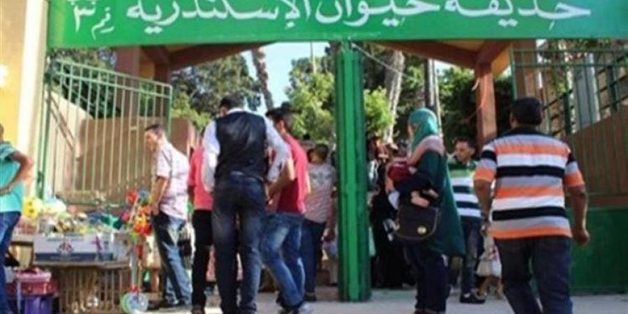 حدائق
«الزراعة»
تستقبل
33
ألف
زائر
في
ثالث
أيام
عيد
الأضحى - تكنو بلس