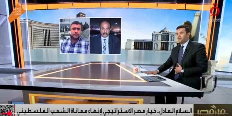 النمورة:
التحركات
المصرية
تجاه
القضية
الفلسطينية
نموذج
للدبلوماسية
الفاعلة - تكنو بلس