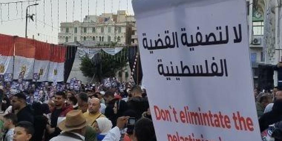 أستاذ قانون دولى: مصر تؤكد دعم فلسطين مع حقها فى تنظيم أى أنشطة على أراضيها