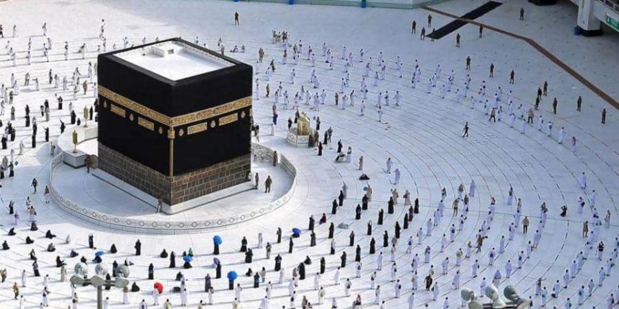 بعثة الحج تواصل تفويج الحجاج المصريين وسط إشادة بالتنظيم والرعاية - تكنو بلس
