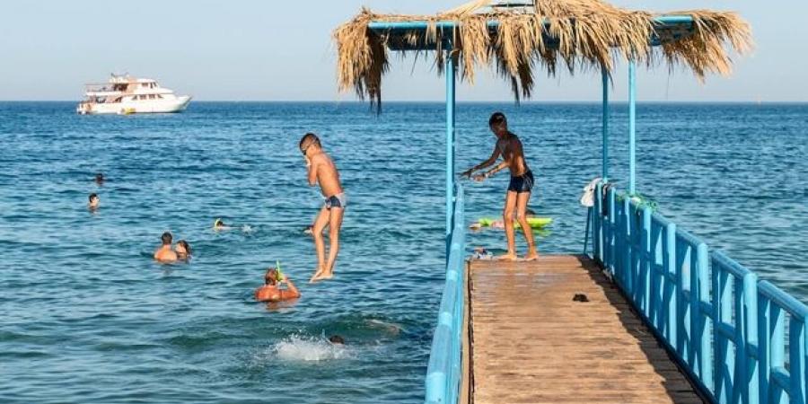 المغامرات البحرية في مصر بين أمواج البحر الأحمر والمتوسط - تكنو بلس