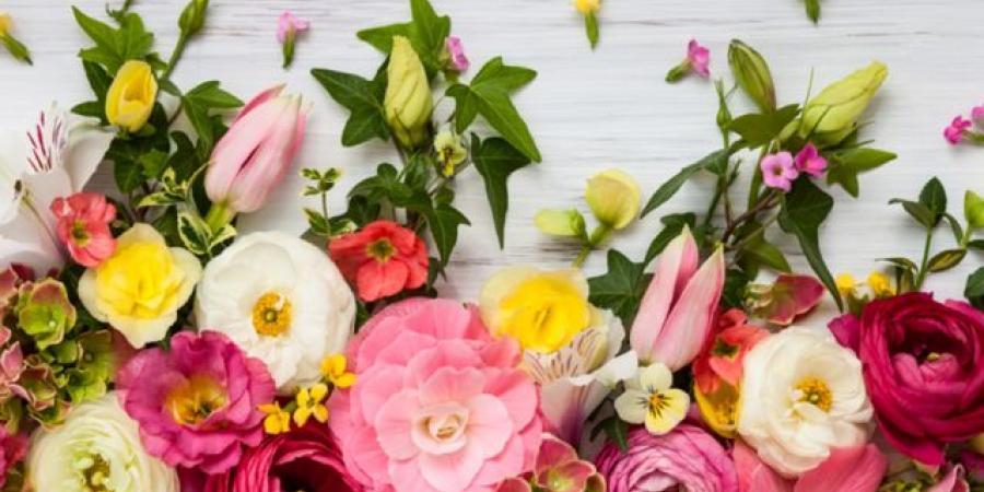 كلمات عن الورد جميلة ومكتوبة - تكنو بلس